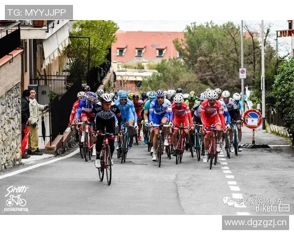 科学飞盘训练方法提升个人能力的全面指南与技巧分享